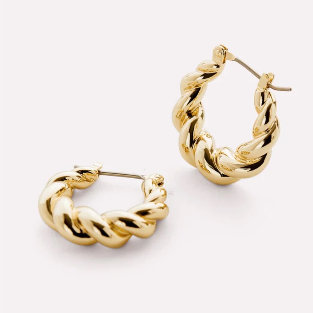 Ana Luisa Paris earrings